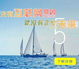 成都软件开发外包生态 企业数字化转型的可靠伙伴