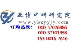 中国软件外包服务行业投资分析及发展前景研究报告